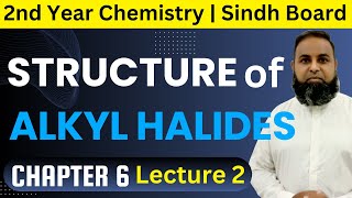 Structure of Alkyl Halides  Topic 611  Chapter 6  Class 12 Chemistry  Sindh Board  2024 [upl. by Ggerk970]