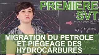 Migration du pétrole et piégeage des hydrocarbures  SVT  1ère  Les Bons Profs [upl. by Surovy]