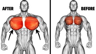 7 Best Chest Workout To Build Bigger Chest Fast [upl. by Anitsrihc]