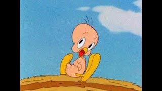 75 Years of Tweety [upl. by Ban]