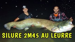 SILURE RECORD 2M45 au leurre gopro en direct Mohamed Fishing [upl. by Latty]