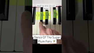 Dance Of The Sugar Plum Fairy Piano Tutorial [upl. by Yelrebmik349]