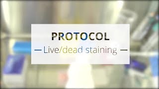 Protocol  livedead staining [upl. by Gombosi]