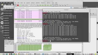 ICMP packet format explained with Wireshark  IP Header Ethernet ICMP Header  timestamp Linux [upl. by Granville]