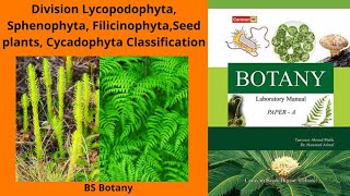 Division Lycopodophyta Sphenophyta FilicinophytaSeed plants Cycadophyta Classification BS Botany [upl. by Aenaj308]