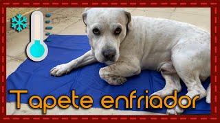 Tapete enfriador para perros ¿La solución perfecta para el calor del verano Reseña completa [upl. by Grethel]