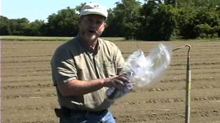 How to plant plugs by Nourse Farms [upl. by Rey]