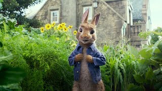 Las Travesuras De Peter Rabbit  Trailer Oficial 2017  Sony Pictures [upl. by Eletnahc441]