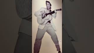 Elvis Presley’s life at Bendigo art gallery on till July [upl. by Eurd895]