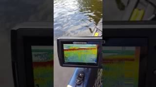 Humminbird helix 5 sonar with GPS 2d chirp amp down imaging [upl. by Aiza]