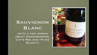 Winecast Sauvignon Blanc [upl. by Desi41]