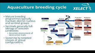 34 ADVANCING SELECTIVE BREEDING IN AQUACULTURE THROUGH THE FUNCTIONAL ANNOTATION OF FISH GENOMES [upl. by Hilario]