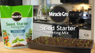 How to Start Seeds Faster Using MiracleGro® Seed Starter Potting Mix [upl. by Drallim517]