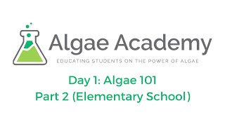 DAY 1 Algae 101 Part 2 Elementary School [upl. by Siloa]