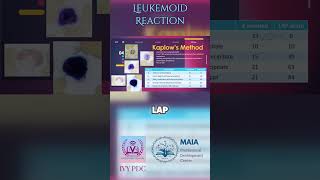 LAP Score for Leukemoid Reaction vs CML [upl. by Tnecillim955]