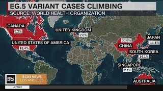 A new COVID19 variant pushes up cases in the US [upl. by Ingra]