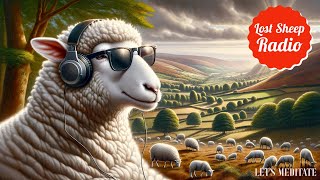 Lost Sheep Radio  Live [upl. by Ehtyaf401]