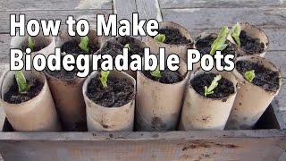 How to Make Biodegradable Plant Pots  Homemade Seed Starting Pots [upl. by Mercola482]