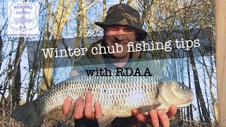 Winter chub fishing tips with RDAA [upl. by Digdirb289]