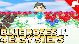 How to Get Blue Roses in 4 Easy Steps Animal Crossing New Horizons [upl. by Ioab550]