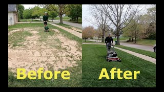 Step by Step Guide to OVERSEEDING Better looking lawn FAST [upl. by Trilbi]