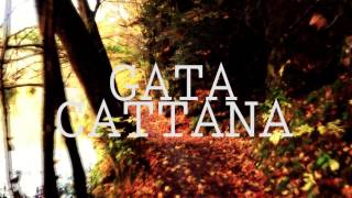 GATA CATTANA  EFEMÉRIDES [upl. by Adla]