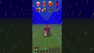 Water Damage vs Different Mobs meme shorts minecraft [upl. by Deloris924]