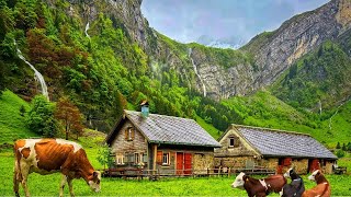 Switzerland Countryside  Relaxing walk in Switzerlands most beautiful villages  rain ambience [upl. by Jay]