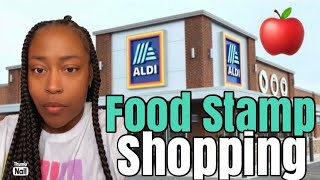 SHOP WITH TERESA AT ALDI’S I JUST GOT MY FOOD STAMPS 😳 CHRISTMAS 2023 [upl. by Eihcir]