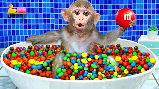 KiKi Monkey bath in the Rainbow BathTub full of MampM candy and play with ducklings  KUDO ANIMAL KIKI [upl. by Nairb313]