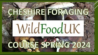 Wild Food UK Foraging Course April 2024 w Karl  Lloyds Meadow Glamping Site  Delamere Cheshire [upl. by Ehtylb]