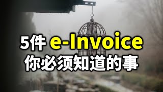 ⚓5件 eInvoice 你必须知道的事 [upl. by Sibie437]