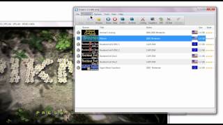 Dolphin Emulator Playing quotPikminquot amp Configuration [upl. by Erreip545]
