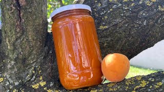 Homemade Apricot Jam Recipe [upl. by Greff]