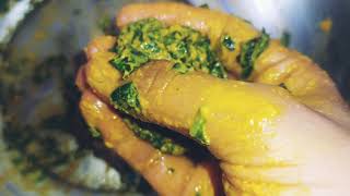 Parderia foetida recipe 🍽 Badoli Pata  Easy to make at home  Bengali vegetarian recipe [upl. by Johppa]