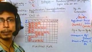 Antibody test quantitative tests [upl. by Ardnoel]