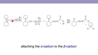 Chapter 17 part 3 alkylation via enamine formation Michael addition [upl. by Neibaf722]