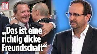 Gerhard Schröder Der Schattenmann von Putin  Peter Tiede bei BILD Live [upl. by Enelrac]