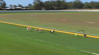 Bundaberg09092024Race7 [upl. by Jillane]