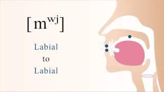 mʷʲ  voiced unaspirated labialized palatalized bilabial nasal stop [upl. by Nanci]