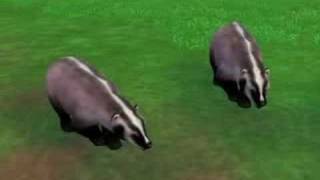 My Zoo Tycoon 2 Animal Downloads [upl. by Aicilram]