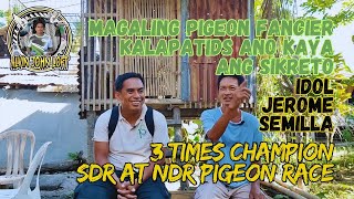 3 times CHAMPION 🏆 SDR at NDR pigeon race  Magaling Pigeon Fancier Kalapatids idol Jerome Semilla [upl. by Normac587]