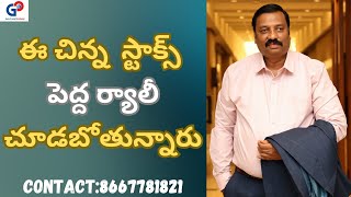 Guru Prasad Academyఈ చిన్న స్టాక్స్ పెద్ద ర్యాలీ చూడబోతున్నారు [upl. by Mart650]