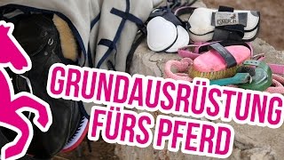 Reiten lernen Grundausrüstung fürs Pferd [upl. by Damien967]