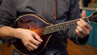 Beginner Mandolin Lessons Series Part Two First Chords [upl. by Dalli]