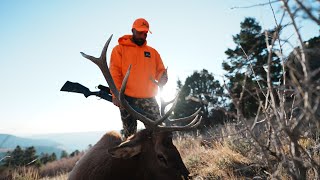 TAGGED OUT in Utah  OTC Bull Down [upl. by Burris]