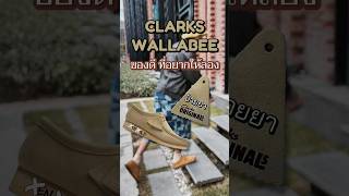 CLARKS WALLABEE ของดี ที่อยากให้ลอง clarks แต่งตัว แฟชั่น sneaker sneakerthailand [upl. by Donoho]