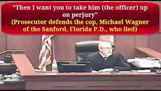 Seminole County Judge Fred Schott Overturns DUI Jury Verdict [upl. by Yanttirb]