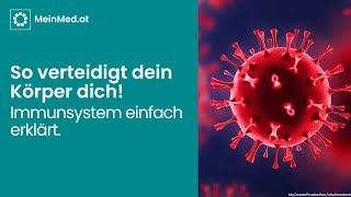 Das Immunsystem einfach erklärt [upl. by Frymire]