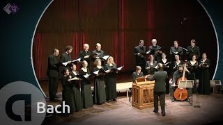 JS Bach Motet BWV 225 Singet dem Herrn  Vocalconsort Berlin [upl. by Sucram396]